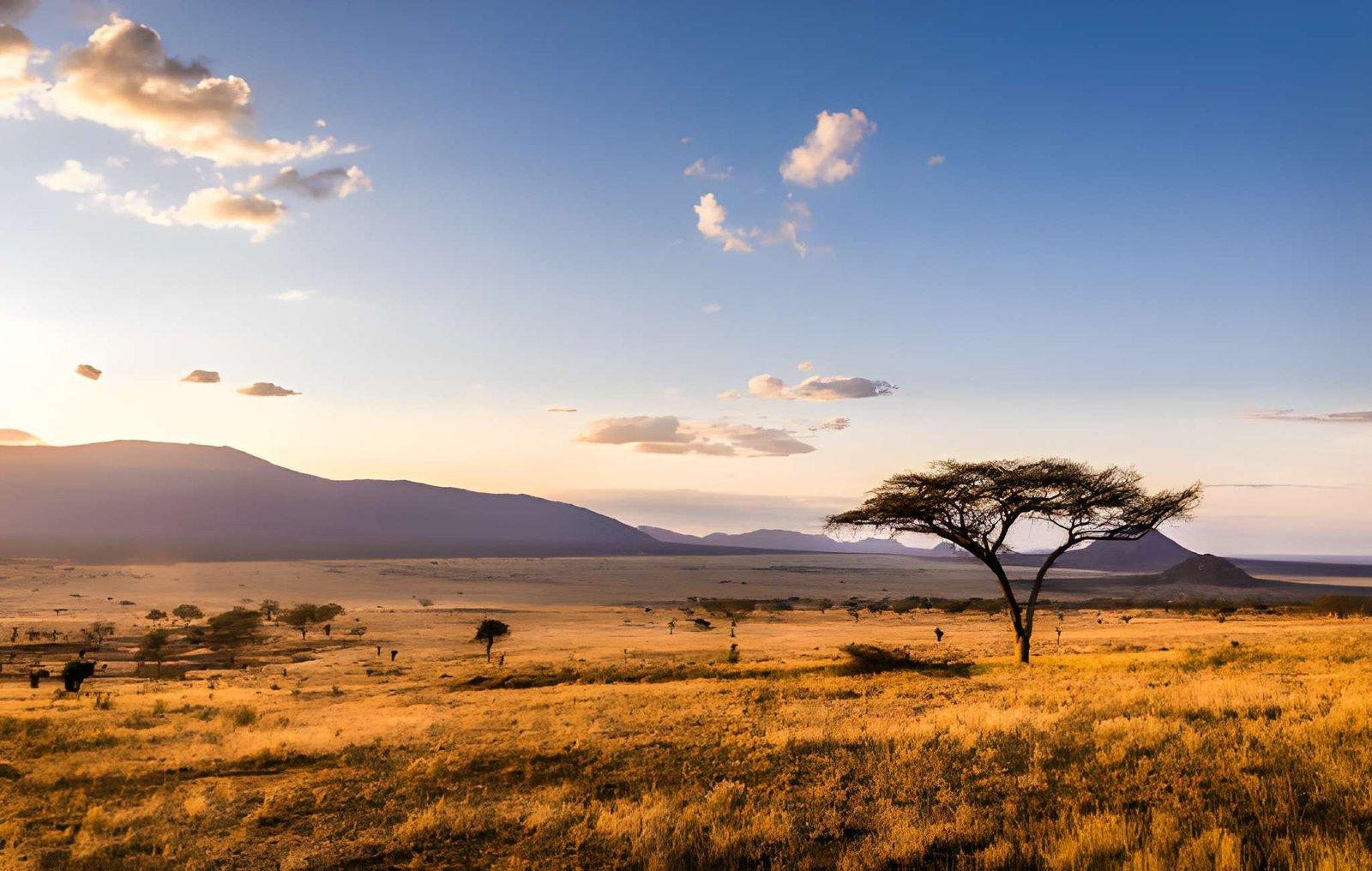 Uganda landscape