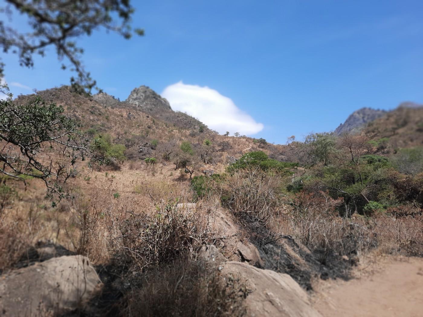 Mount Morungole