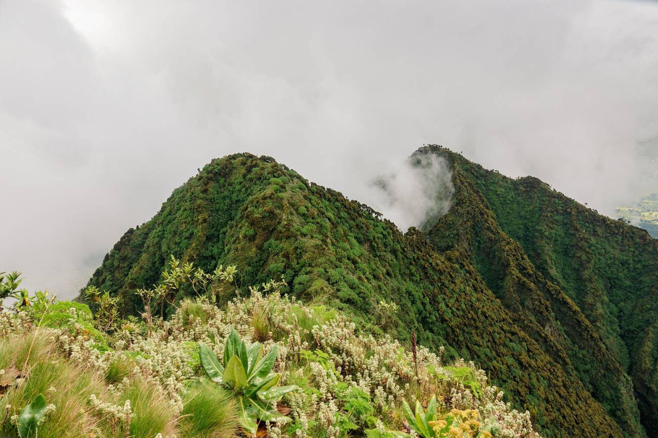 Mount Sabyinyo