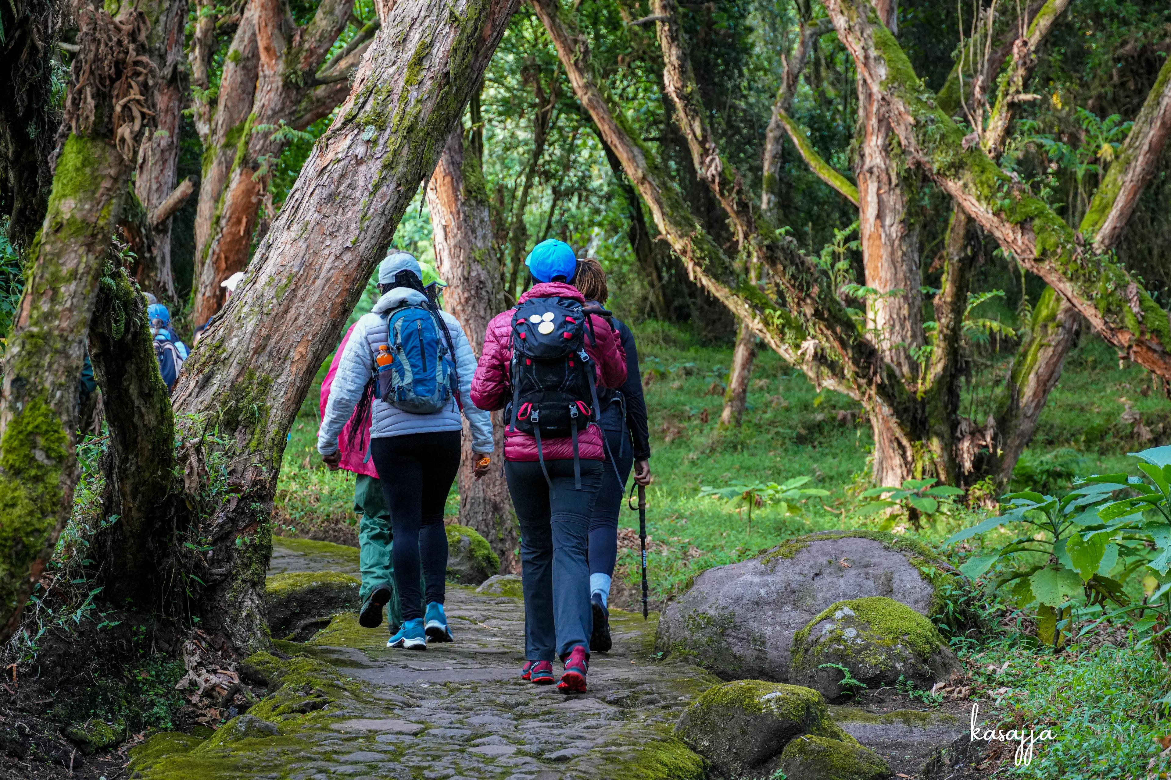 How Outdoorsy Uganda Rates Adventure Difficulty and Risk